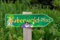 Zauberwald - magic forest path in Black Forest, Germany