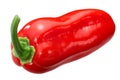 Zavory habanero pepper c.chinense, paths