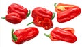 Zavory habanero peppers c.chinense, paths