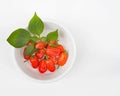 Zavory Mild Habanero peppers in White Bowl