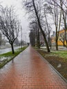Long straight pavement made of red brick at snowy rainy day