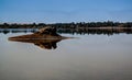 Zaytun lake near Siwa oasis, Egypt Royalty Free Stock Photo