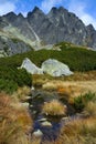 Zbojnicka chata, High Tatras: turf of grass in a small lake by the hiking trail in Velka Studena dolina Royalty Free Stock Photo