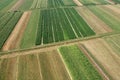 Aerial view of meadows and fields in North Croatia in summertime Royalty Free Stock Photo