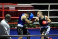 Zdenek Chladek and Erik Alojan - boxing
