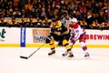 Zdeno Chara and Marcus Johansson (NHL)