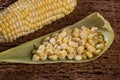 Zea mays - Fresh corn cob and kernels Royalty Free Stock Photo