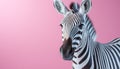 Zebra in Africa, nature striped beauty standing in savannah generated by AI