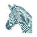 Zebra african animal icon isolated