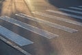 Zebra on the asphalt of a pedestrian crossing Royalty Free Stock Photo