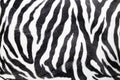 Zebra background