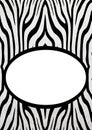 Zebra banner