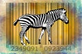 Zebra barcode animal design art idea