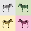 Zebra in black, green, yellow and pink color