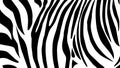 Zebra black and white pattern