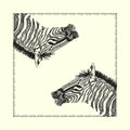 Zebra card