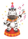 Zebra with circus costume . Realistic watercolor paint with paper textured . Cartoon character design . Vector