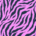 Zebra colorful seamless pattern. Vector animal skin print. Fashion stylish organic texture Royalty Free Stock Photo