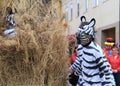 Zebra costume at traditional carnival of masks in Litija, Slovenia