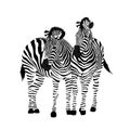 Zebra couple standing. Savannah animal ornament.