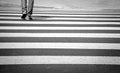Zebra crossing Royalty Free Stock Photo