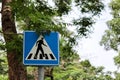 Zebra crossing, pedestrian cross warning traffic on blue background in the park. Royalty Free Stock Photo