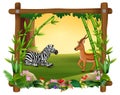 Zebra dan deer in forest frame square