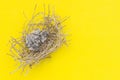 Zebra dove birds in brown dry grass nest on yellow background