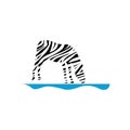 zebra drinking water Royalty Free Stock Photo