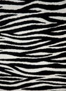 Zebra fabric texture Royalty Free Stock Photo