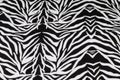 Zebra fabric texture background Royalty Free Stock Photo