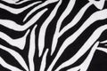 Zebra fabric texture background Royalty Free Stock Photo