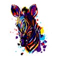 Zebra Face Color Brushstroke, African Animals Pop Art, Vector , Zebra Head