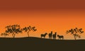 Zebra family of silhouette in hills Royalty Free Stock Photo