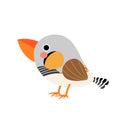 Zebra Finch bird animal cartoon character vector illustration