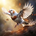 Zebra Finch Taeniopygia guttata