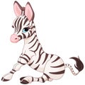 Zebra Foal