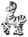 Zebra Funny Cartoon