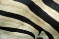 Zebra fur Royalty Free Stock Photo