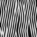 Zebra Fur Royalty Free Stock Photo