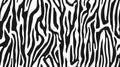 Zebra fur repeating texture. Animal skin stripes. Black and white seamless pattern. Vector Royalty Free Stock Photo