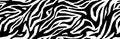 Zebra fur  - stripe skin, animal pattern. Repeating texture. Black and white seamless background. Vector Royalty Free Stock Photo