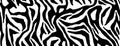 Zebra fur repeating texture. Animal skin stripes, jungle wallpapers. Black and white seamless pattern. Royalty Free Stock Photo