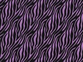 Zebra fur skin seamless pattern, carpet zebra hairy backgroun purple and violet texture, smooth, fluffly and soft.