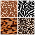 Zebra, giraffe and leopard patterns