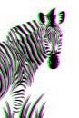 Zebra with glitch effect.