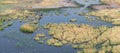 Zebra grazing in the Okavango Delta, Botswana aerial shot Royalty Free Stock Photo