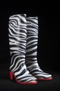 Zebra Gum Boots Royalty Free Stock Photo