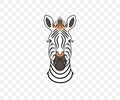 Zebra head, animals and african savannah, colored graphic design