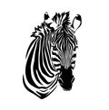 Zebra Head Black And White Vector Outline Portrait
